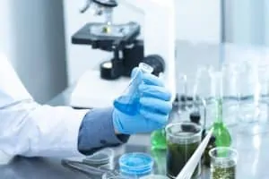 Paternity tests in law
