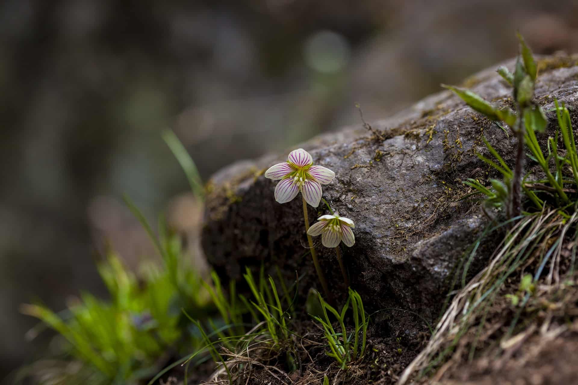 Municipal By-Laws on Nature Reserves